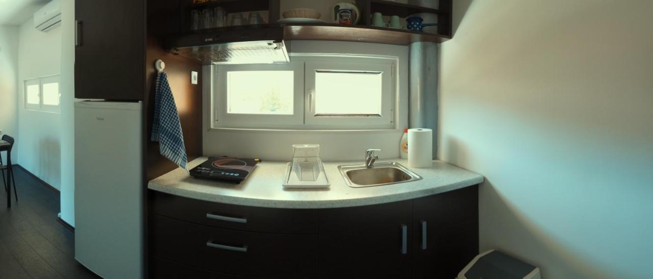 Apartman Terassa Donji Milanovac Exterior photo