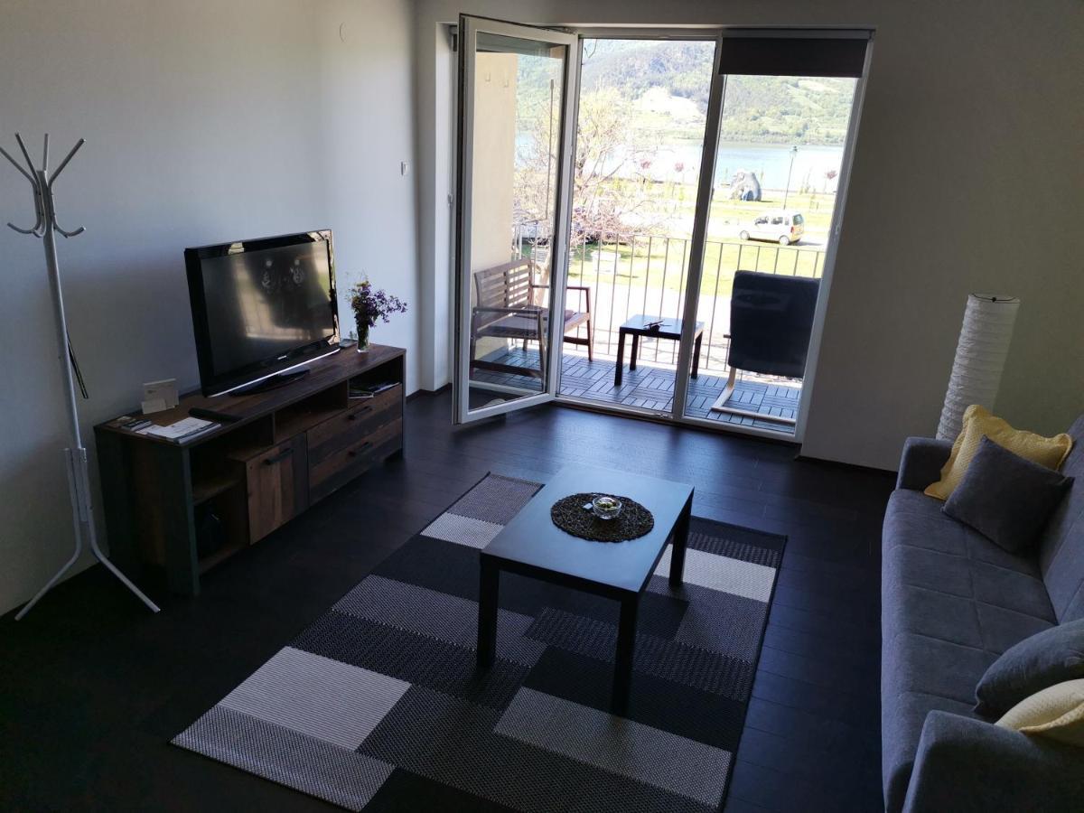 Apartman Terassa Donji Milanovac Exterior photo