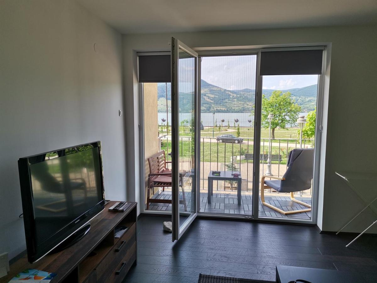 Apartman Terassa Donji Milanovac Exterior photo
