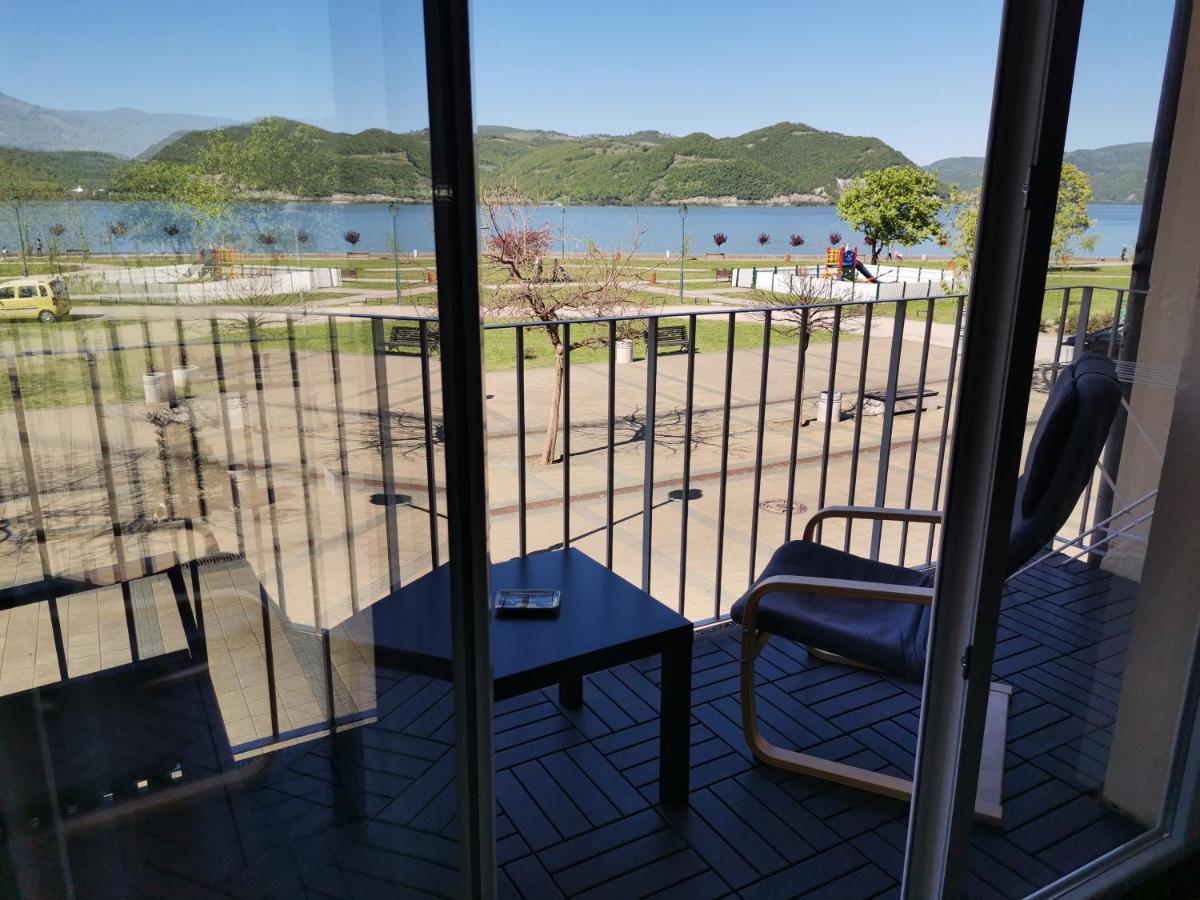 Apartman Terassa Donji Milanovac Exterior photo