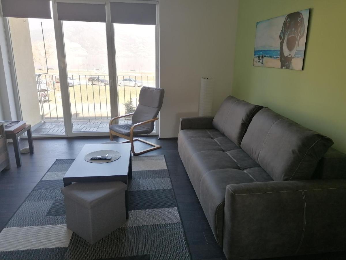 Apartman Terassa Donji Milanovac Exterior photo